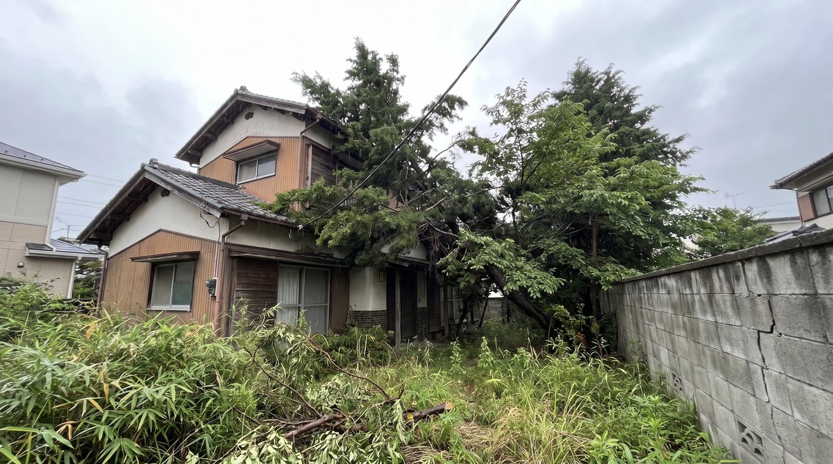 伐採前：屋根や電線に届くほど伸びた庭木と、伸び放題の下草