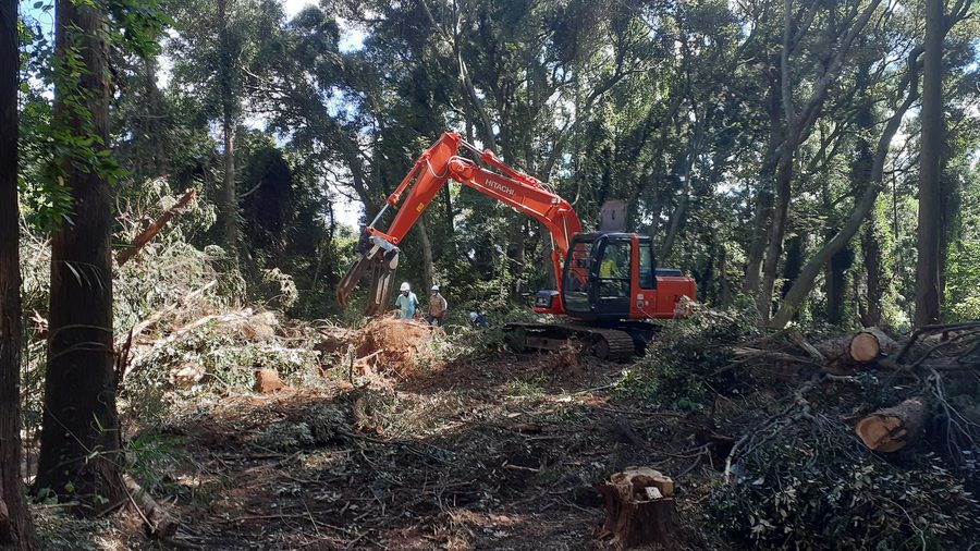 敷地一括の伐採整地。グラップルで根株をつかみ上げ、搬出用にまとめる作業